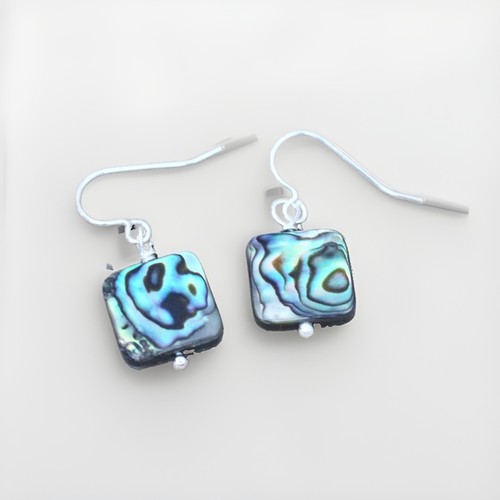 Paua abalone perlmutt - paua,