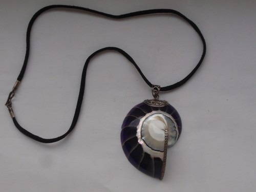Anhänger nautilus muschel - anhänger, 925