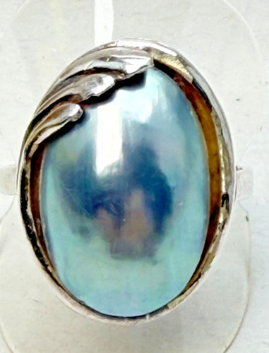 Vintage nautilus muschel - nautilus, blau
