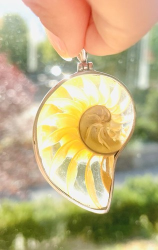 Nautilus anhänger 925 - 925, silber