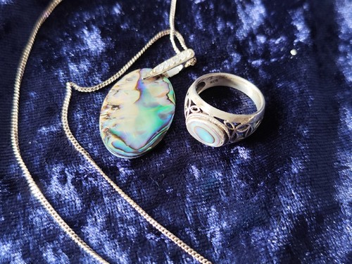 Abalone perlmutt muschel - abalone,